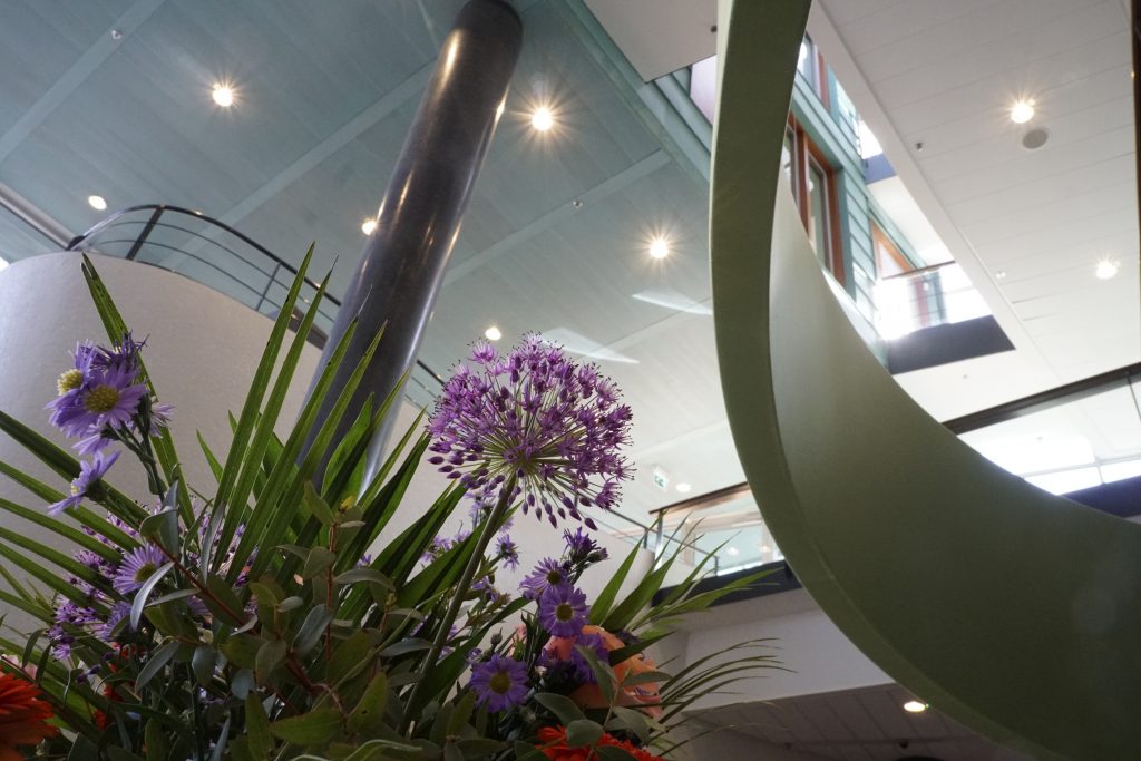 Rabobank A&ND, plant (SmiLED Lighting bv, 2018)