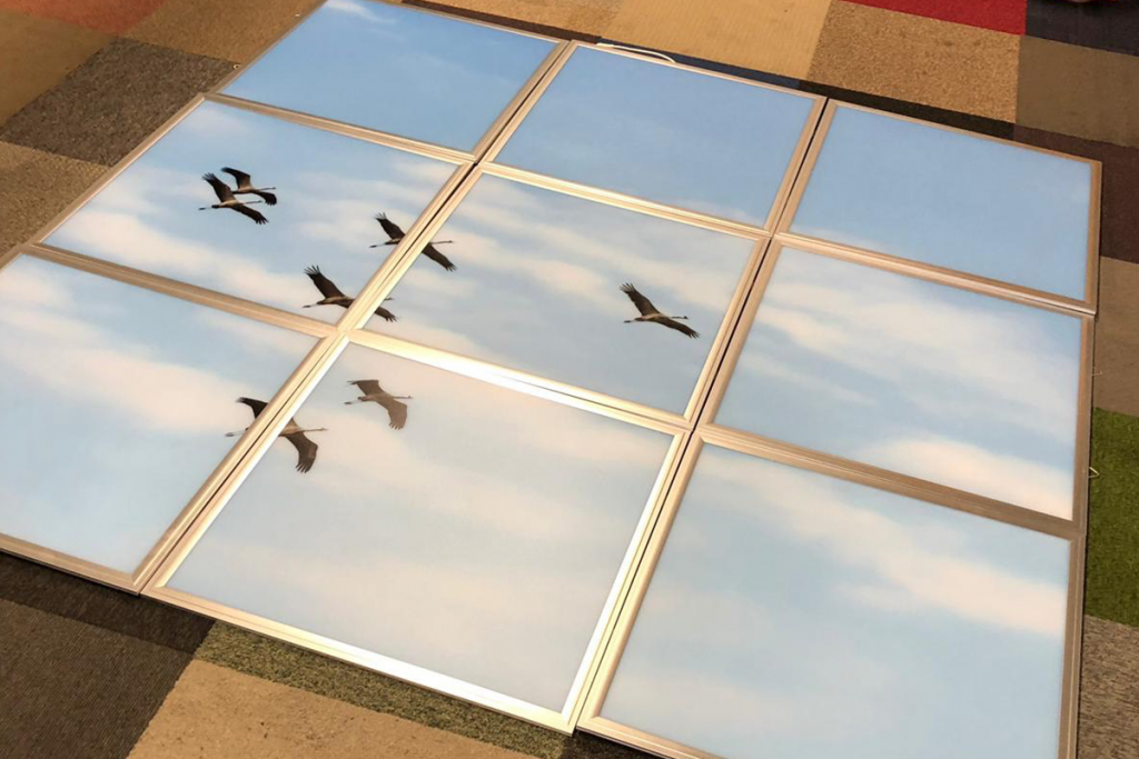 Led-Fotopanelen lucht en vogels SmiLED Lighting